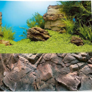 Juwel Double Face Διακοσμητική Αφίσα Ενυδρείου 1 Small Plant/Reef 60x30cm