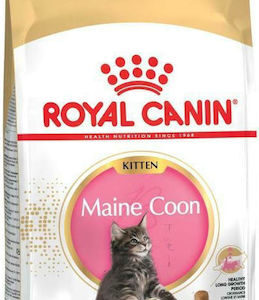 Royal Canin Maine Coon Kitten Ξηρά Τροφή χωρίς Γλουτένη για Ανήλικες Γάτες με Ευαίσθητο Γαστρεντερικό με Πουλερικά / Ρύζι 4kg