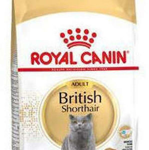 Royal Canin British Shorthair Adult Ξηρά Τροφή χωρίς Γλουτένη για Ενήλικες Γάτες με Καλαμπόκι 10kg