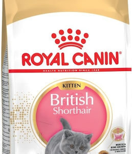 Royal Canin Kitten British Shorthair Ξηρά Τροφή για Ανήλικες Γάτες με Ευαίσθητο Γαστρεντερικό με Πουλερικά 2kg