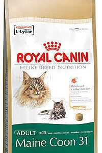 Royal Canin Maine Coon Adult Ξηρά Τροφή χωρίς Γλουτένη για Ενήλικες Γάτες με Πουλερικά / Ρύζι 10kg
