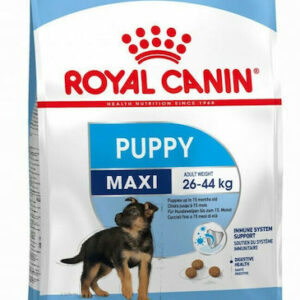 Royal Canin Puppy Maxi 4kg Ξηρά Τροφή για Κουτάβια Μεγαλόσωμων Φυλών με Ρύζι και Χοιρινό