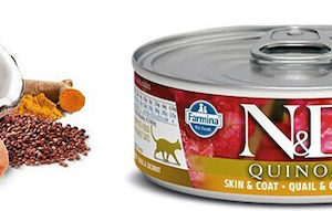 Farmina Quinoa Skin & Coat Υγρή Τροφή για Ενήλικες Γάτες σε Κονσέρβα με Ορτύκι χωρίς Σιτηρά & Γλουτένη 80gr PND080020 Ορτύκι/Καρύδα