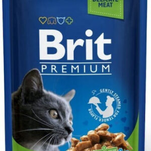 Brit Premium By Nature Υγρή Τροφή για Ενήλικες Γάτες σε Φακελάκι με Κοτόπουλο χωρίς Γλουτένη 100gr 306083