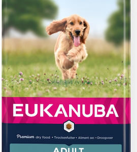 Eukanuba 12kg Ξηρά Τροφή χωρίς Γλουτένη για Ενήλικους Σκύλους Μικρόσωμων & Μεσαίων Φυλών με Σολομό και Ψάρια