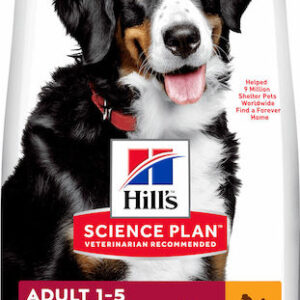 Hill's Science Plan Adult Large 18kg Ξηρά Τροφή χωρίς Γλουτένη για Ενήλικους Σκύλους Μεγαλόσωμων Φυλών με Κοτόπουλο