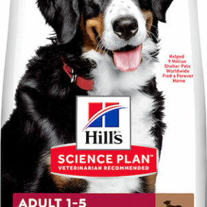 Hill's Science Plan Adult Large 14kg Ξηρά Τροφή για Ενήλικους Σκύλους Μεγαλόσωμων Φυλών με Αρνί και Ρύζι