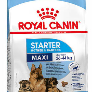 Royal Canin Starter Mother & Babydog Maxi 4kg Ξηρά Τροφή χωρίς Γλουτένη για Κουτάβια Μεγαλόσωμων Φυλών με Πουλερικά και Ρύζι