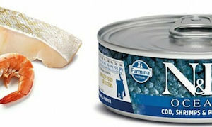 Farmina Ocean Kitten Υγρή Τροφή για Ανήλικες Γάτες σε Κονσέρβα με Γαρίδες και Κολοκύθα χωρίς Σιτηρά & Γλουτένη 6x80gr 22.09.018