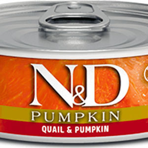 Farmina Pumpkin Υγρή Τροφή για Ενήλικες Γάτες σε Κονσέρβα με Κολοκύθα και Ορτύκι χωρίς Σιτηρά & Γλουτένη 70gr 22.09.015