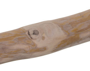 4dogs Coffee Tree Stick Κέρατο Σκύλου Μικρόσωμων Φυλών
