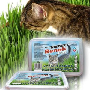 Certech Pet Grass Seed Γρασίδι Γάτας DLZCCHKSK0001