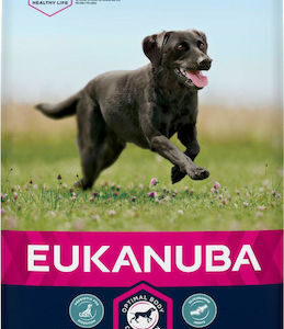 Eukanuba Active Adult Large Breed 15kg Ξηρά Τροφή για Ενήλικους Σκύλους Μεγαλόσωμων Φυλών με Κοτόπουλο