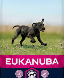 Eukanuba Growing Puppy Large Breed 15kg Ξηρά Τροφή για Κουτάβια Μεγαλόσωμων Φυλών με Κοτόπουλο