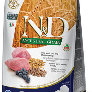 Farmina N&D Ancestral Grain Puppy Medium & Maxi 12kg Ξηρά Τροφή χωρίς Γλουτένη, με Λίγα Σιτηρά για Κουτάβια Μεσαίων & Μεγαλόσωμων Φυλών με Αρνί
