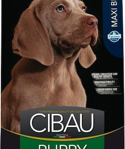Farmina Cibau Puppy Maxi 12kg Ξηρά Τροφή για Κουτάβια Μεγαλόσωμων Φυλών με Καλαμπόκι, Κοτόπουλο και Ρύζι