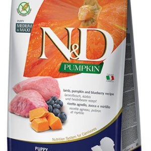 Farmina N&D Pumpkin Puppy Medium & Maxi 2.5kg Ξηρά Τροφή χωρίς Σιτηρά για Κουτάβια Μεσαίων & Μεγαλόσωμων Φυλών με Αρνί και Κολοκύθα