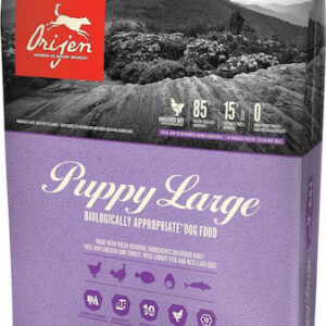 Orijen Puppy Large 11.4kg Ξηρά Τροφή χωρίς Σιτηρά για Κουτάβια Μεγαλόσωμων Φυλών με Γαλοπούλα και Κοτόπουλο