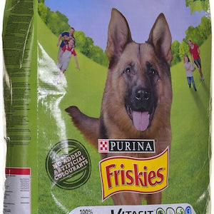Purina Active 10kg Ξηρά Τροφή Σκύλων χωρίς Γλουτένη με Κρέας