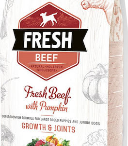 Brit Fresh Beef with Pumpkin Growth & Joints 2.5kg Ξηρά Τροφή χωρίς Σιτηρά & Γλουτένη για Κουτάβια Μεγαλόσωμων Φυλών με Κολοκύθα και Ψάρια