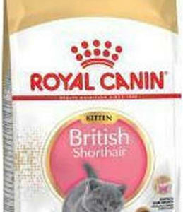 Royal Canin Kitten British Shorthair Ξηρά Τροφή χωρίς Γλουτένη για Ανήλικες Γάτες με Ευαίσθητο Γαστρεντερικό με Πουλερικά 0.4kg