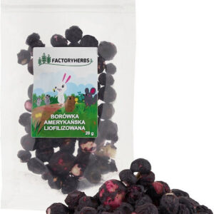 Factory Herbs Freeze-dried Blueberries Treat Rodents Rabbits 10g