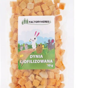Factory Herbs Freeze-dried Pumpkin Treat Rodents Rabbits 10g