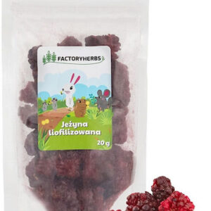 Factory Herbs Freeze-dried Blackberry Treat Rodents Rabbits 20g