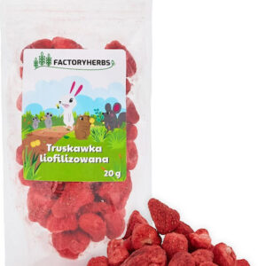 Factory Herbs Freeze-dried Strawberries Treat Rodents Rabbits 20g