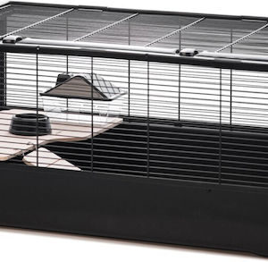Inter-zoo Bob + Wood Κλουβί Τρωκτικού 48x48x36cm G306ACTB